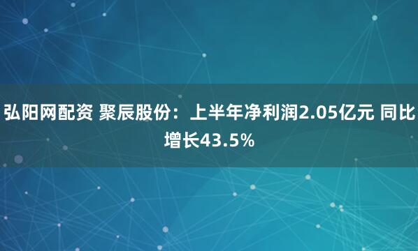 弘阳网配资 聚辰股份：上半年净利润2.05亿元 同比增长43.5%