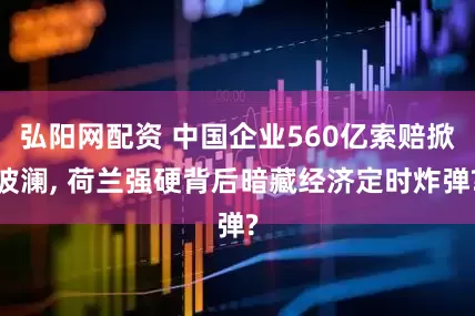 弘阳网配资 中国企业560亿索赔掀波澜, 荷兰强硬背后暗藏经济定时炸弹?